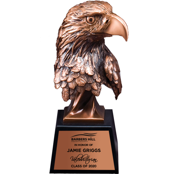 The Eagle Head Trophy | Bronze Military Eagle Trophy | Paradise Awards